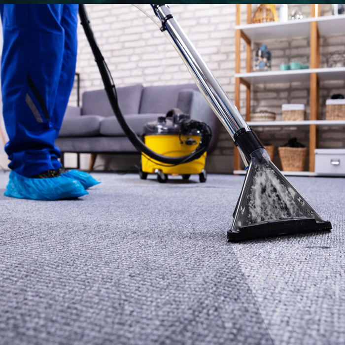Best Home Tech Essentials